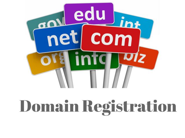 Domain provider in India Domain provider in India